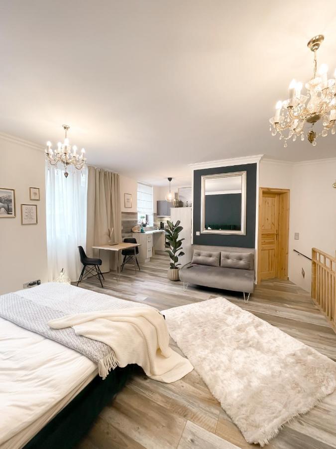 New Deluxe Studio Apartment In Quiet Back House Дрезден Екстер'єр фото