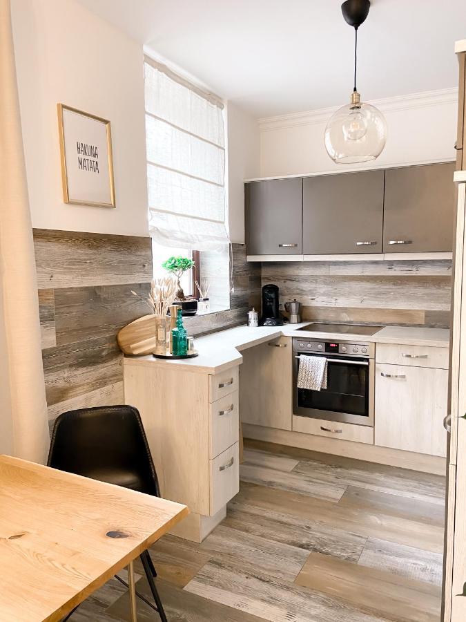New Deluxe Studio Apartment In Quiet Back House Дрезден Екстер'єр фото
